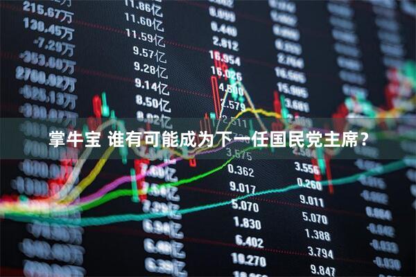 掌牛宝 谁有可能成为下一任国民党主席？