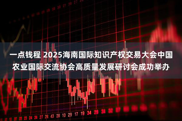 一点钱程 2025海南国际知识产权交易大会中国农业国际交流协会高质量发展研讨会成功举办